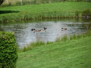 Www Photo 02