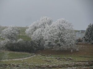 Www Photo 12
